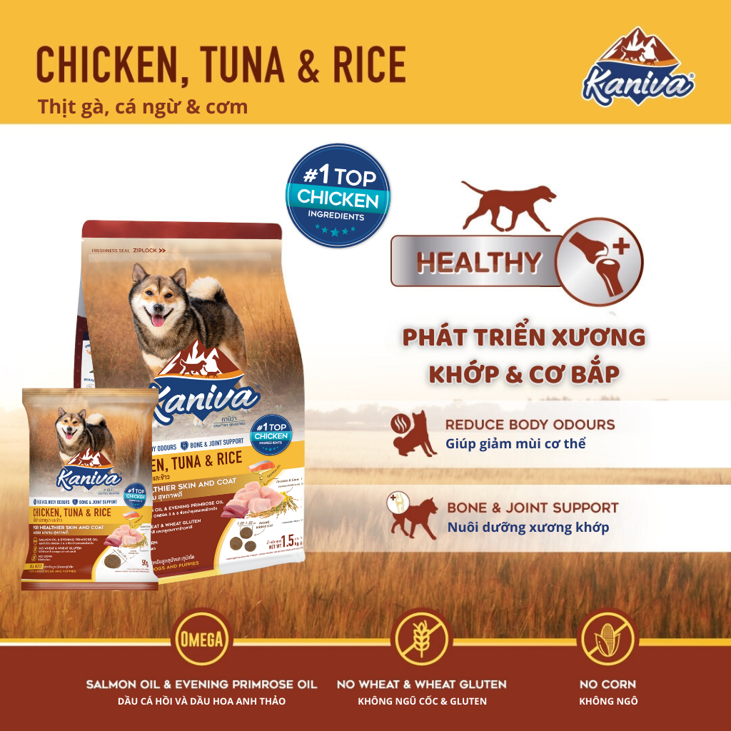 Thức ăn hạt cao cấp cho chó
